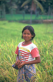 Lombok girl in rice fields near Belanting