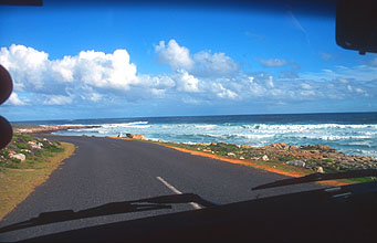 Cape Town Cape of Good Hope Nature Reserve 2