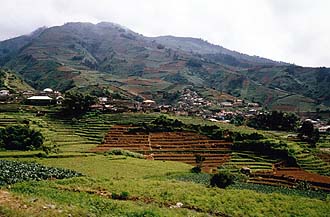 Yogjakarta: Landscape near Dieng Plateau