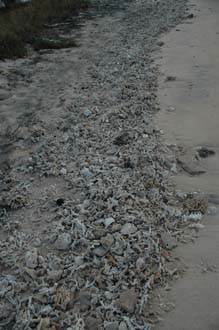 AMI Lombok Ombak Putih sailing ship Gili Lampu Island beach with corals 1 3008x2000
