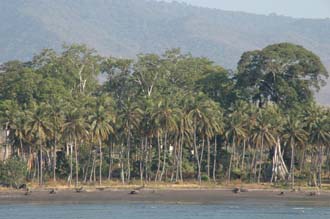 AMI Lombok Ombak Putih sailing ship in Labuhan Kayangan harbour beach wit trees 3008x2000